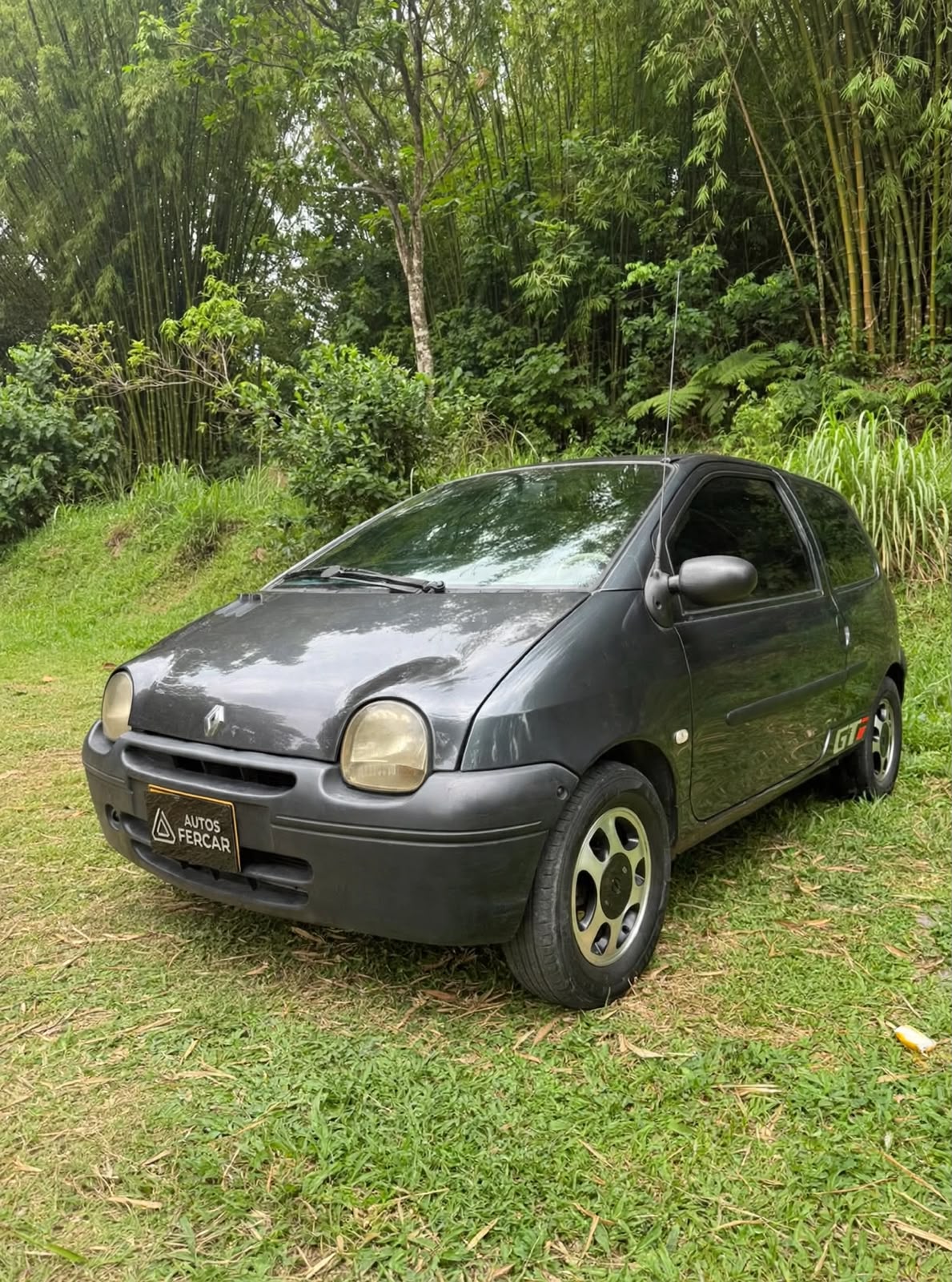 RENAULT TWINGO AUTHENTIQUE