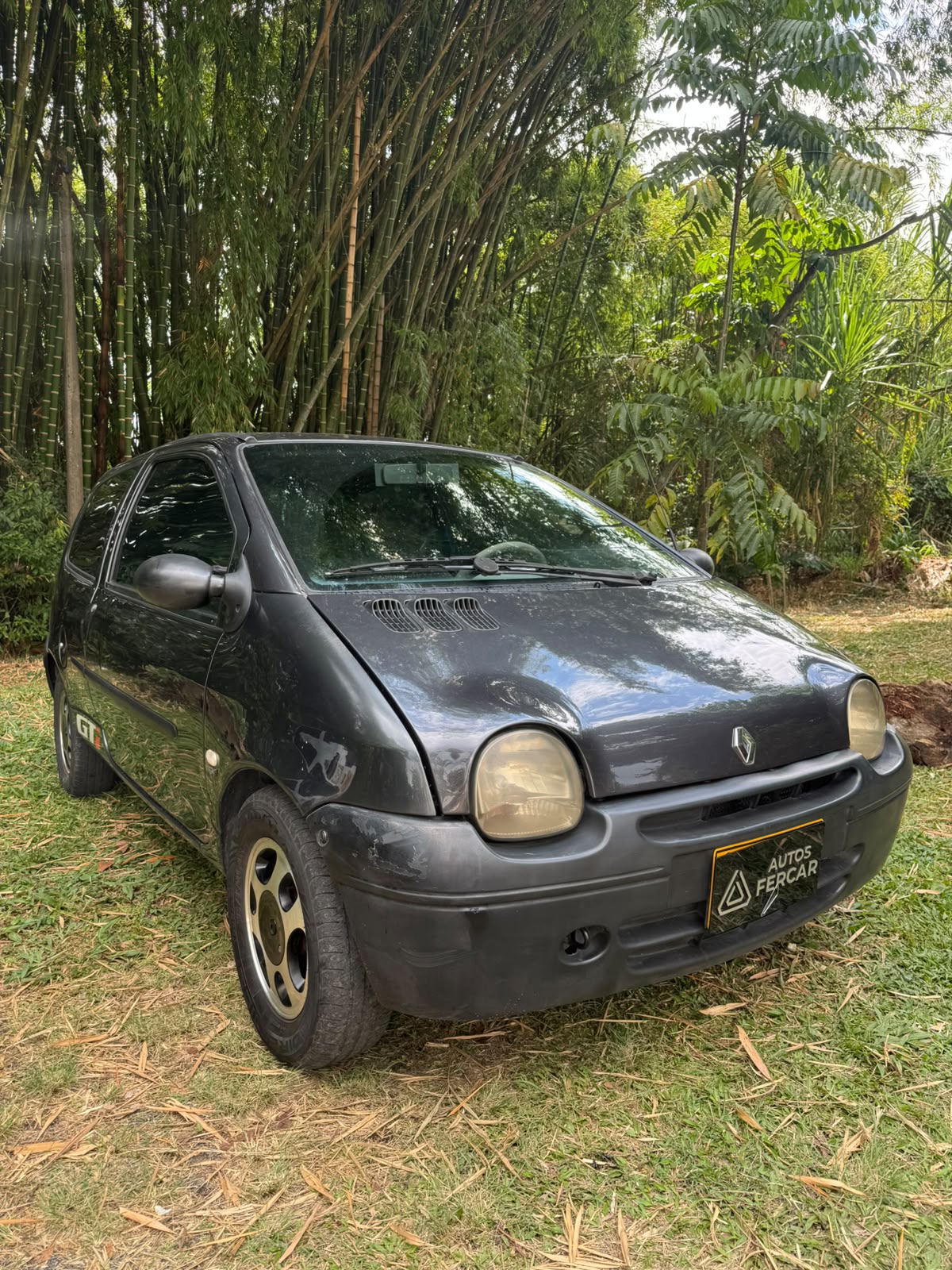 RENAULT TWINGO AUTHENTIQUE