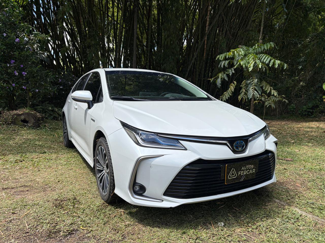 TOYOTA COROLLA HYBRID SEG