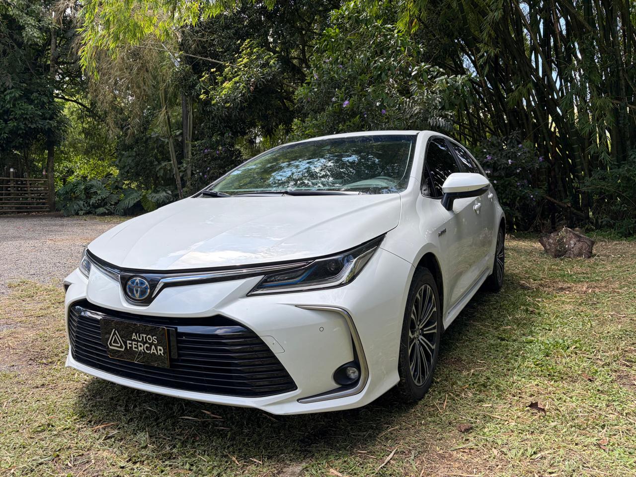 TOYOTA COROLLA HYBRID SEG